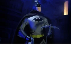 All Mego Mego DC Batman 14