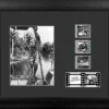 Film Cells LTD. Creature From The Black Lagoon (1954) Horror Presentation Film Cell