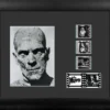Film Cells LTD. The Mummy (Boris Karloff - 1932) Horror Presentation Film Cell